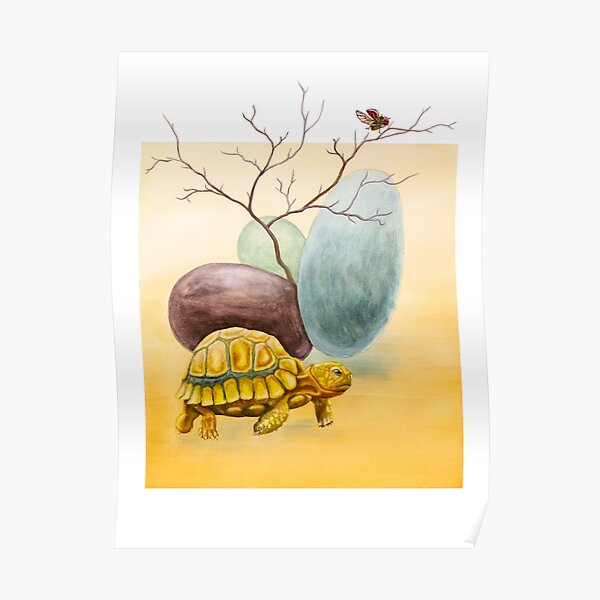 Tortoise of the Sky Poster