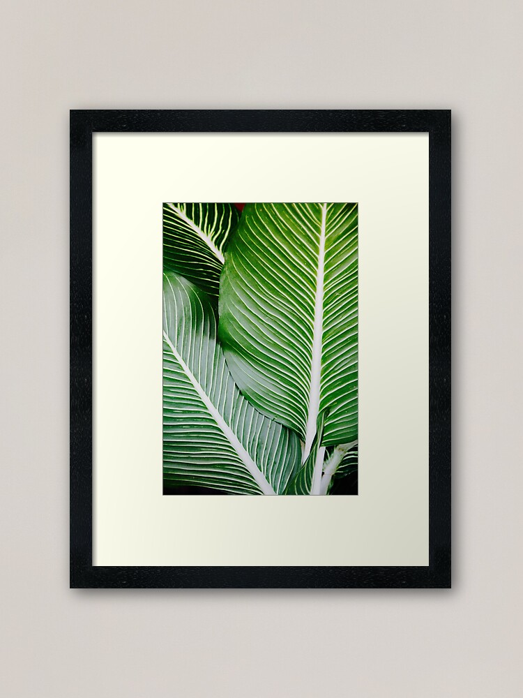 leaf print framed art