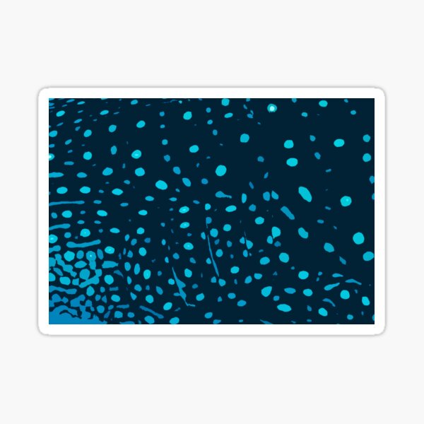 Art Inspired by Nature, Whaleshark, Art, Illustration Sticker