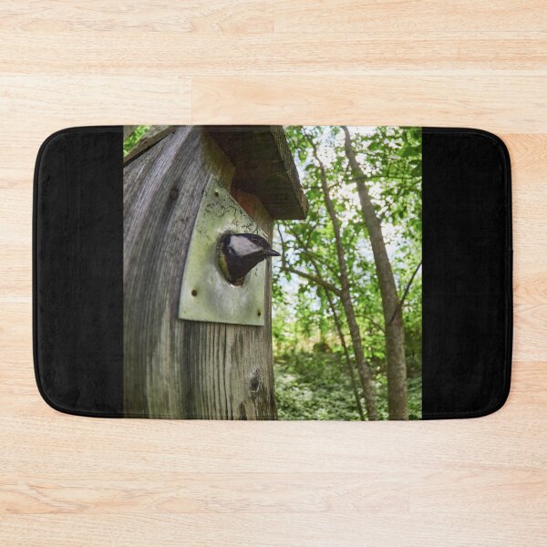 Item preview, Thinking outside the box. Great tit designed and sold by Jouko Lehto Photography.