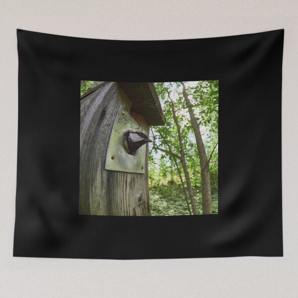 Item preview, Thinking outside the box. Great tit designed and sold by Jouko Lehto Photography.