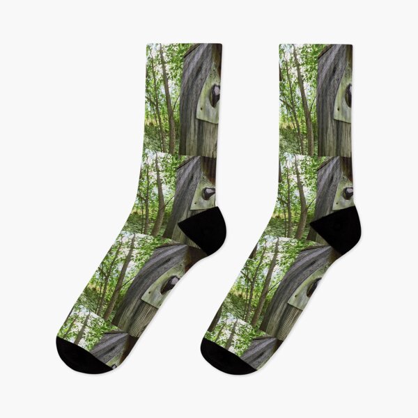 Item preview, Thinking outside the box. Great tit designed and sold by Jouko Lehto Photography.