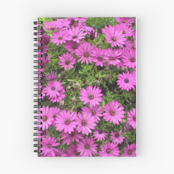 Item preview, Beautiful Purple Cape Daisies In A Flower Bed designed and sold by taiche.
