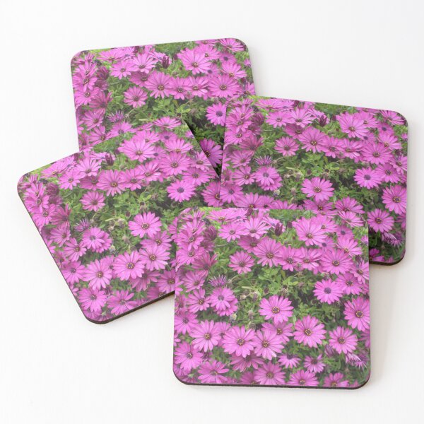 Item preview, Beautiful Purple Cape Daisies In A Flower Bed designed and sold by taiche.