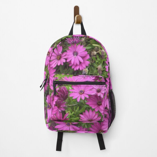 Item preview, Beautiful Purple Cape Daisies In A Flower Bed designed and sold by taiche.