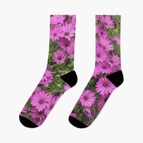 Item preview, Beautiful Purple Cape Daisies In A Flower Bed designed and sold by taiche.
