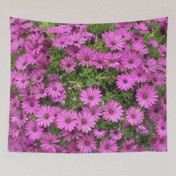 Item preview, Beautiful Purple Cape Daisies In A Flower Bed designed and sold by taiche.