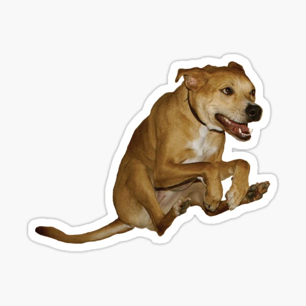 Raditude Dog Sticker