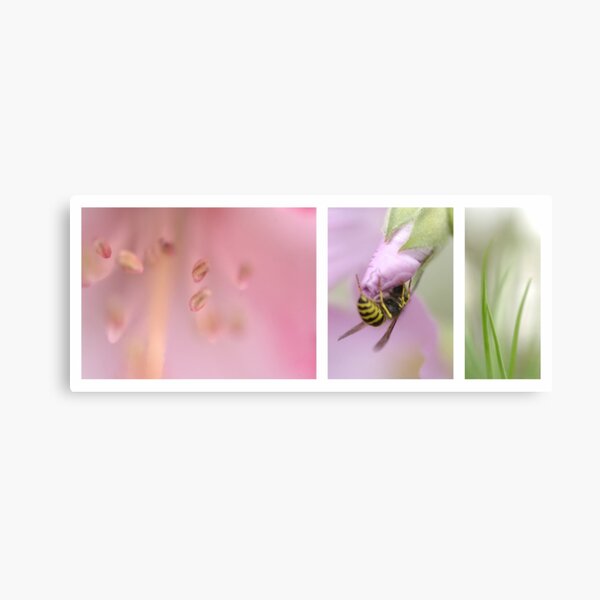Spring Canvas Print