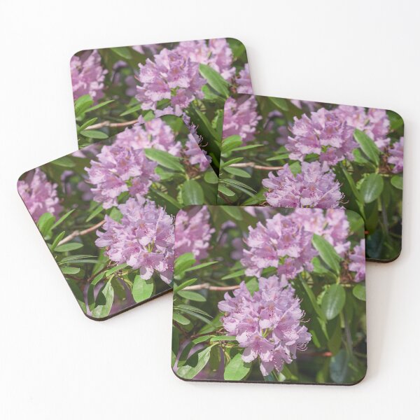 Item preview, Pink dreams. Rhododendron 89 designed and sold by Jouko Lehto Photography.