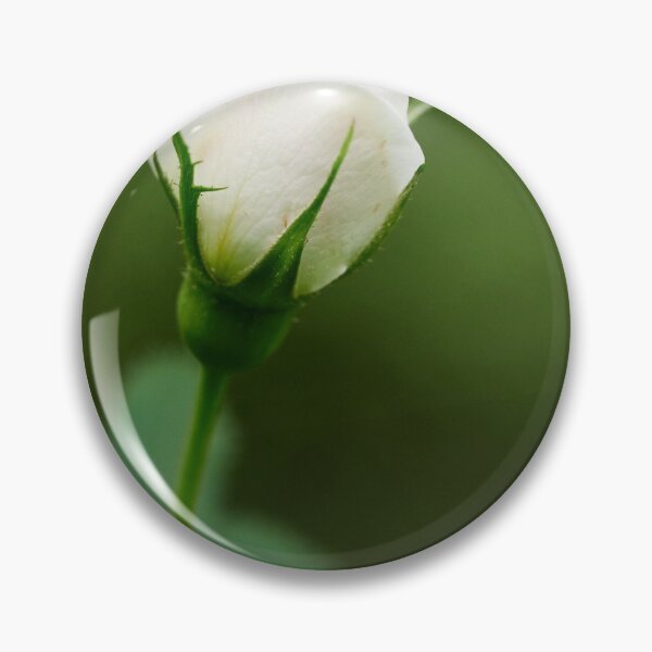 Item preview, The bud.Midsummer rose 7 designed and sold by Jouko Lehto Photography.
