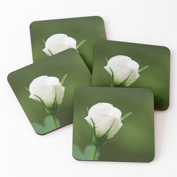 Item preview, The bud.Midsummer rose 7 designed and sold by Jouko Lehto Photography.