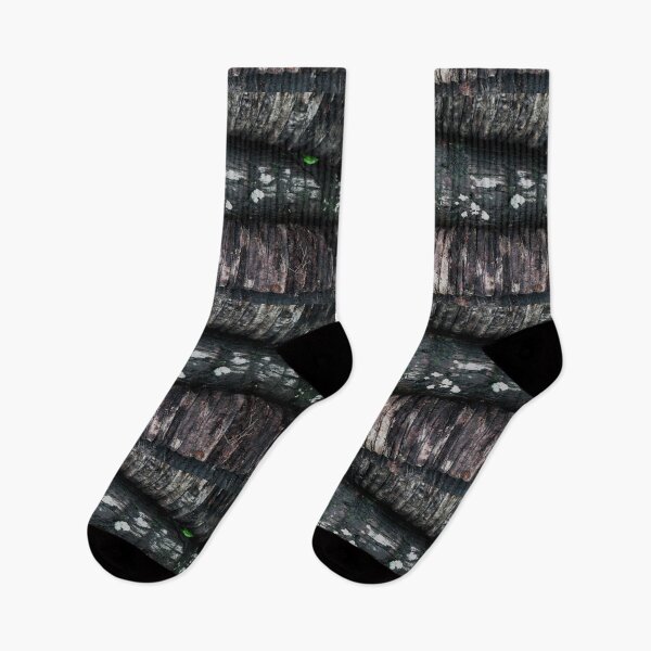 Item preview, Wet Coconut tree texture designed and sold by Roy Store.