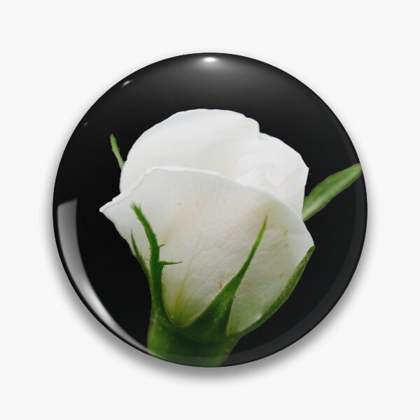 Item preview, The bud trasparent. Midsummer rose 7 designed and sold by Jouko Lehto Photography.