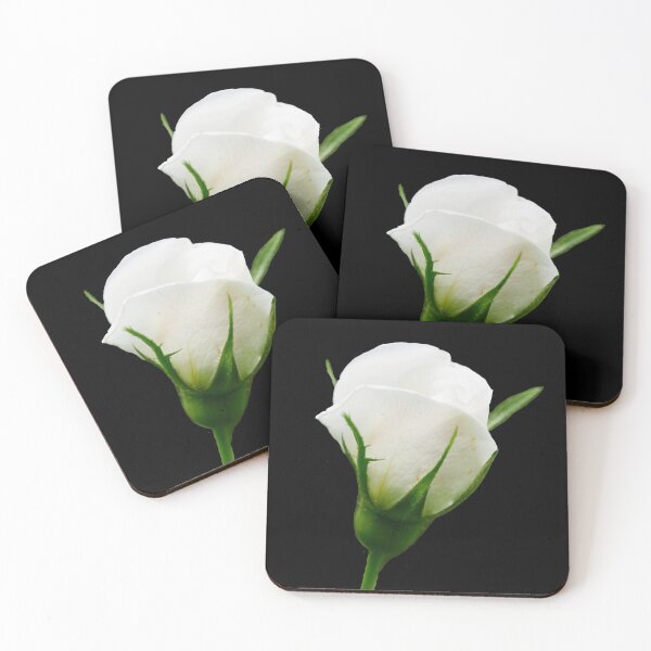 Item preview, The bud trasparent. Midsummer rose 7 designed and sold by Jouko Lehto Photography.