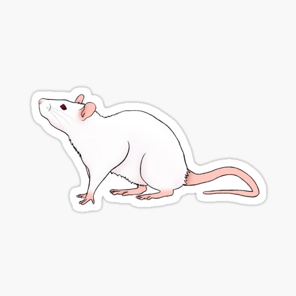 Rat Gifts Merchandise Redbubble - rat gnome roblox