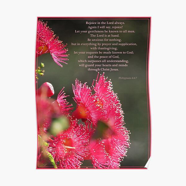~ Philippians 4:4-7 ~ Poster