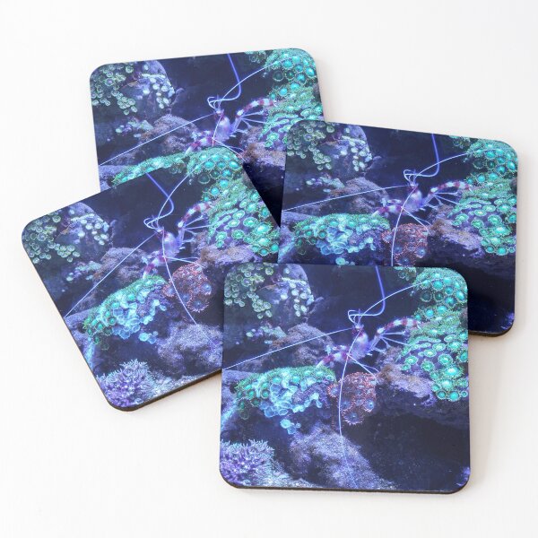 Item preview, Under the Sea designed and sold by Toadn2princess.