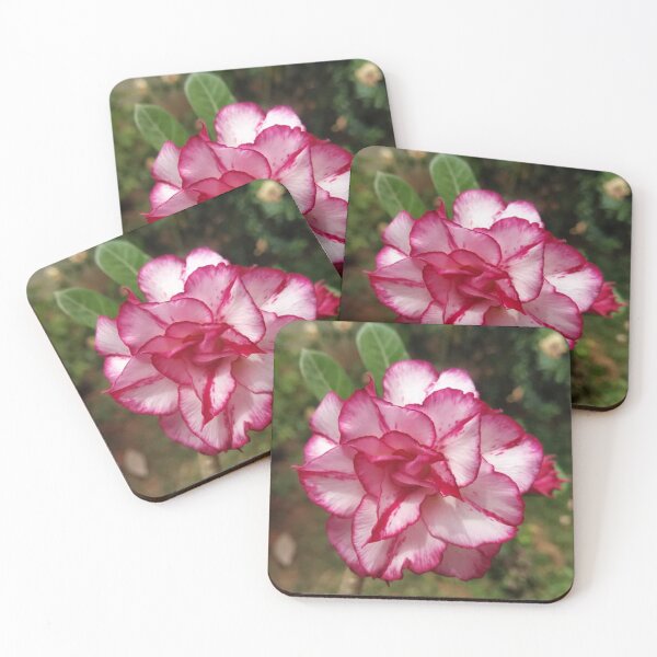 Item preview, Flower designed and sold by GuruKrish.