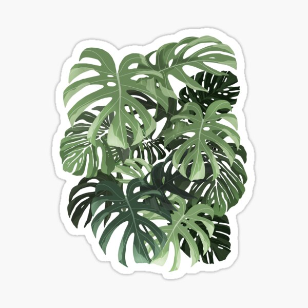 Item preview, Monstera Deliciosa Leaves designed and sold by Ana Moguš.