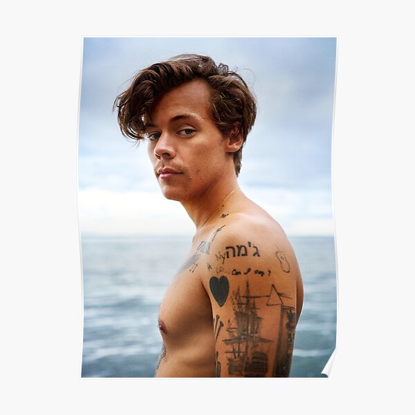 Harry Enjoy Summer Poster