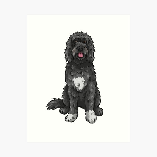 Portuguese Water Dog | Cute Dog Art Art Print