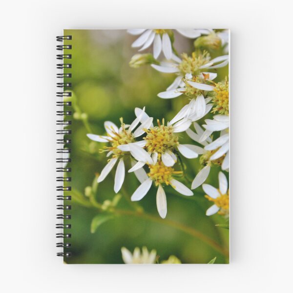 Item preview, White Aster designed and sold by Kathleen Daley.