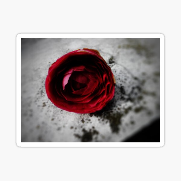 Red Rose Sticker