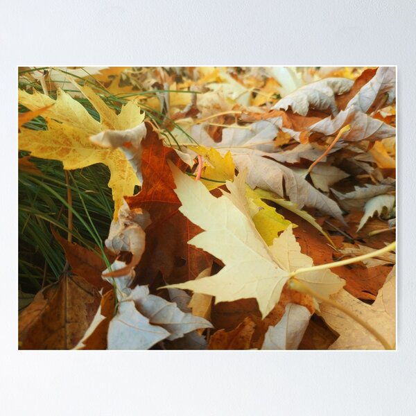 Friendly Leaves Poster