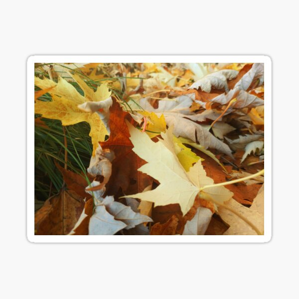 Friendly Leaves Sticker