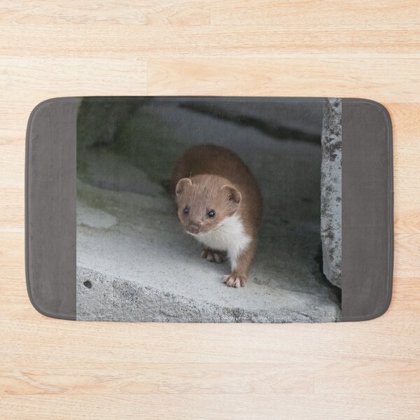 Item preview, little stoat designed and sold by tammy mellor.