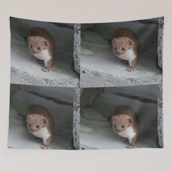 Item preview, little stoat designed and sold by tammy mellor.