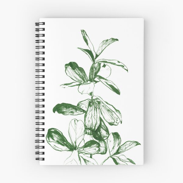 Aperçu de l'œuvre Ficus Lyrata créée et vendue par Antonina Sotnikova.