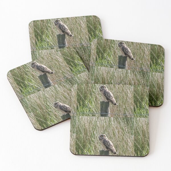 Item preview, short eared owlet designed and sold by tammy mellor.