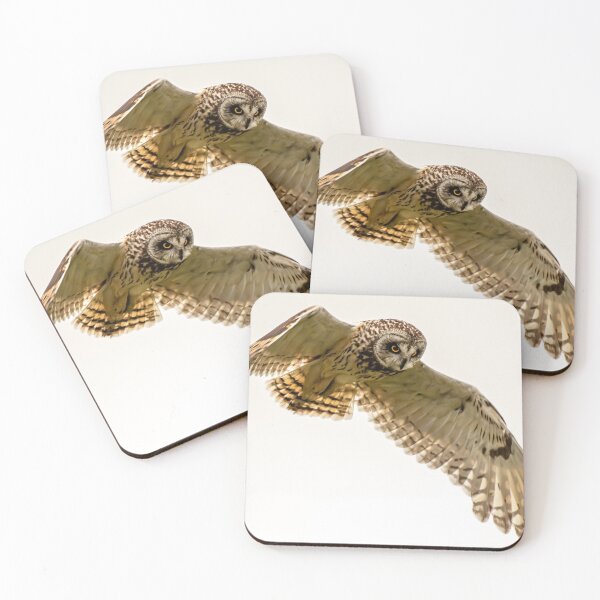 Item preview, short eared owl designed and sold by tammy mellor.
