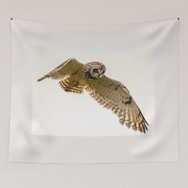 Item preview, short eared owl designed and sold by tammy mellor.