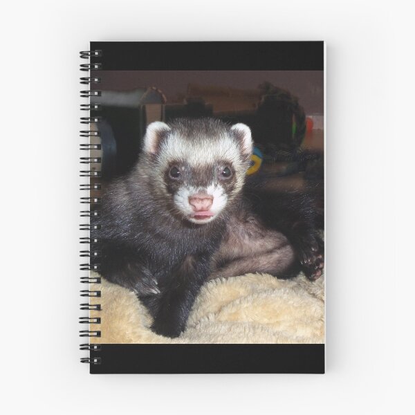 Item preview, Cuddly ferret designed and sold by Fennic.