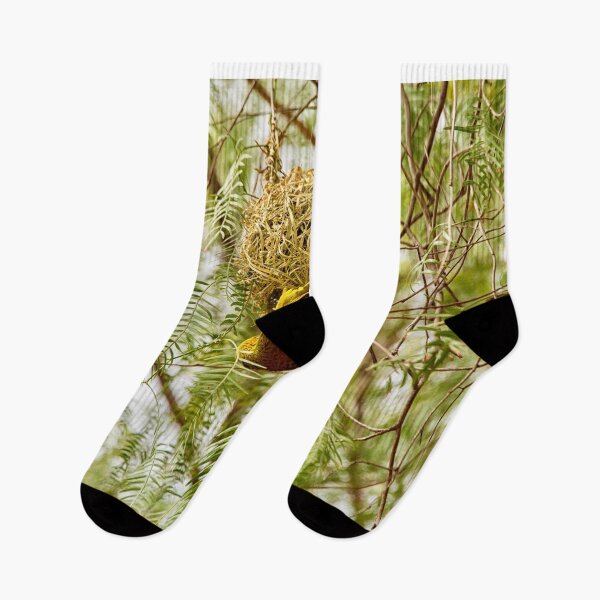 Item preview, Weaver bird and nest South Africa  designed and sold by Photopat.