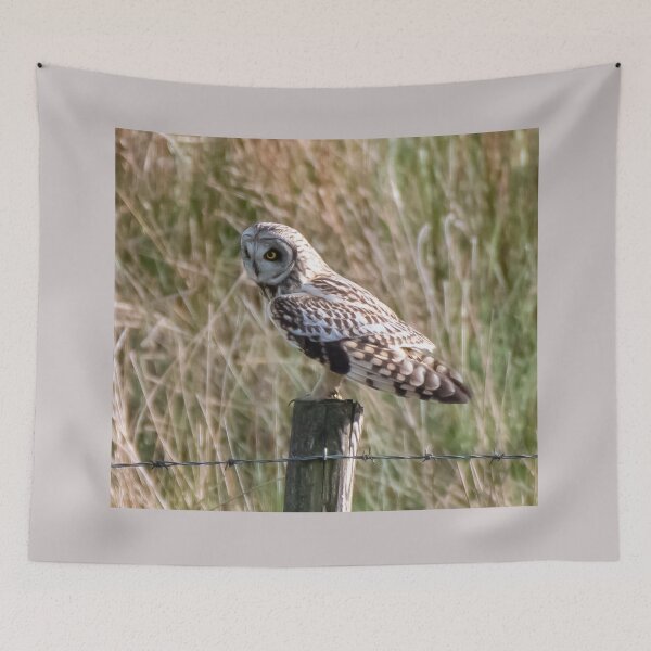 Item preview, short eared owl  designed and sold by tammy mellor.