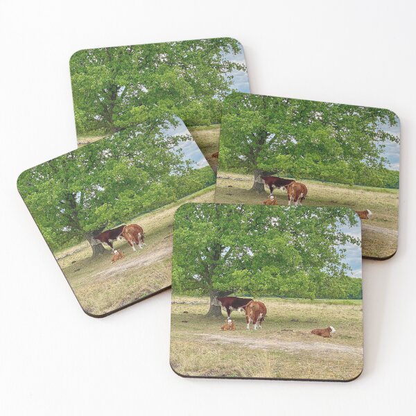 Item preview, Brown cows and calves in the shade of  a tree  designed and sold by Photopat.