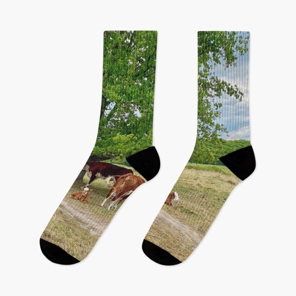 Item preview, Brown cows and calves in the shade of a tree designed and sold by Photopat.