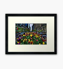 Michigan Ave Tulips, Chicago Framed Print