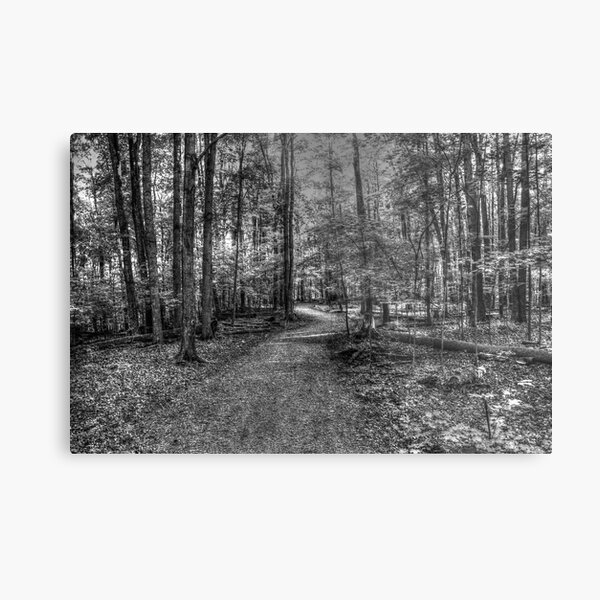 Item preview, Forest 2 designed and sold by John Velocci.