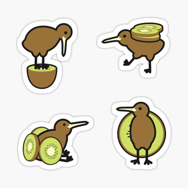 Kiwi Turtle Sticker | Cute Funny Cartoon Animal Silly stickers | 3 Water  Bottle | Laptop | College | Teen | Kids