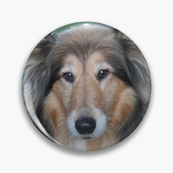 Item preview, Shaded Sable Rough Collie designed and sold by KarenWoodArt.
