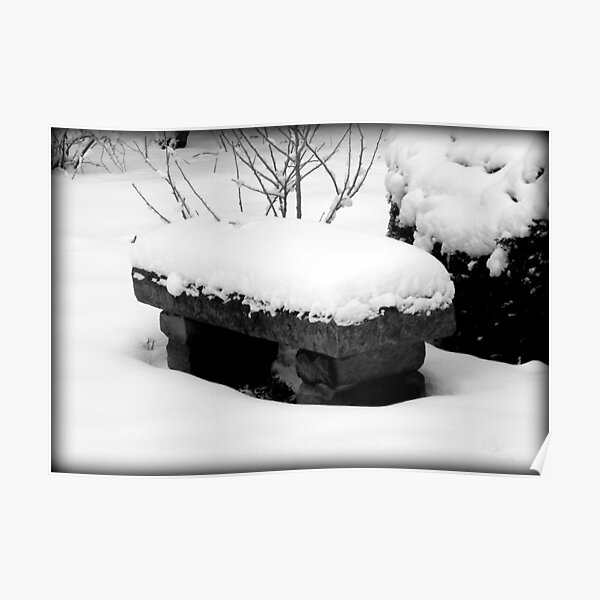 Freshly Fallen Snow © Poster