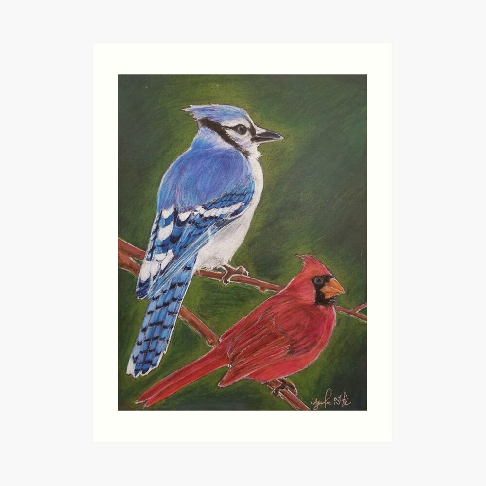 Flirt and Flutter Cardinal and Blue Jay Art Print Free -  Finland