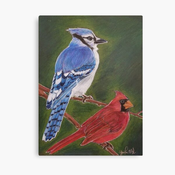 cardinal robin blue jay