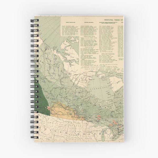 Item preview, Vintage Canada Forests Map (1906) designed and sold by BravuraMedia.