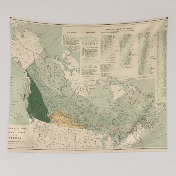 Item preview, Vintage Canada Forests Map (1906) designed and sold by BravuraMedia.